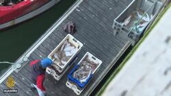 French fishing industry: Fighting to survive lockdown News Clip