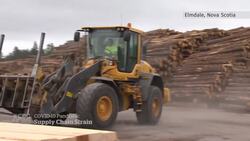 Pandemic projects contribute to lumber shortage News Clip
