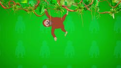 I WONDER - How Long Are Orangutan's Arms? Instructional Video