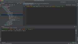 Job-Ready SQL in an Afternoon - Inserting Values Instructional Video