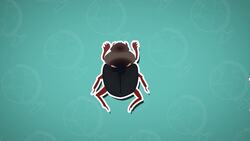 Five Facts - David Attenborough Instructional Video