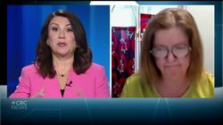 A new report says P.E.I. can better help its homeless population. Here’s how it could work News Clip