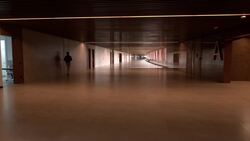 Surat (Gujarat): The Newly Opened Surat Diamond Building Is Now The World’s Largest Office, Surpassing US’s Pentagon News Clip