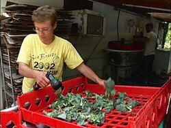 Food Network Community Supported Agriculture Instructional Video