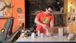 How to Make Silly Putty to Demonstrate Chemical Reactions Instructional Video