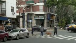 CLEAN : Shops back in business in Buenos Aires despite virus spike News Clip