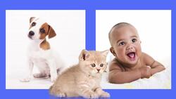 Let's Learn Blending Vowel teams: AU, AW Instructional Video