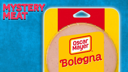 The History of Bologna Instructional Video