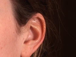 Vibraciones y ondas: vibraciones y sonido Instructional Video