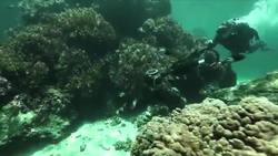 Google Street View in the Great Barrier Reef Instructional Video