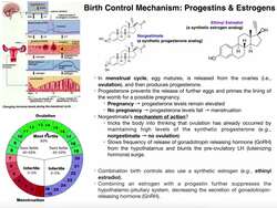 The Mechanism of Combination Birth Control Instructional Video