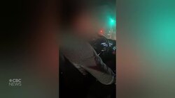 Uber driver targets passenger in racist slur News Clip