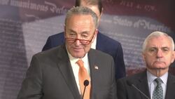 Senate Democrats continue call for trial witnesses News Clip