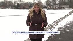 Dog rescued after being stranded on thin ice on Lake Parsippany Instructional Video