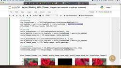 Evaluate the impact of an AI application used in the real world. (case study) : Working with Flower Images: Case Study - Part 6 Instructional Video