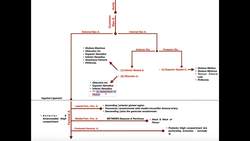 Blood Supply to the Hip & Thigh Instructional Video