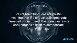 How Our Brains Learn Consciousness Instructional Video