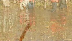 Everglades National Park - Everglades Environmental Education: Loop Road Slough Slog Instructional Video