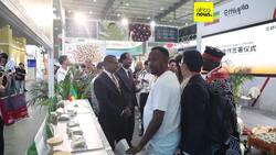 Fourth edition of China-Africa Economic and Trade Expo opens in Changsha News Clip