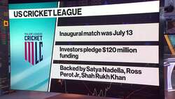Major League Cricket Comes to the US News Clip