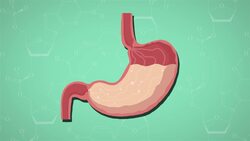 I WONDER - How Are Chemical Reactions Useful? Instructional Video