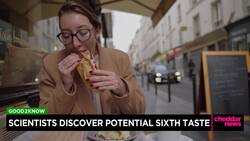 Scientists Discover Potential Sixth Taste News Clip