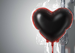 Donar sangre Instructional Video