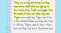 Nonfiction Expository Writing: Revision Instructional Video