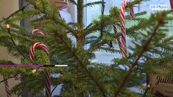 Visit the birthplace of Sweden's festive peppermint candy canes News Clip