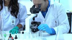 Scientist is looking through microscope with colleagues working in modern laboratory or medical center together. Concept of science, testing development and lab industry. Stock Footage