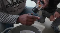 Meeting a Fish Biologist Instructional Video