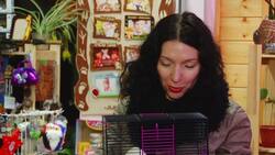 Russian city prepares for the Year of the Rat Instructional Video