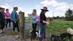 Pygmy goats join pilates classes 
+REPLAY+ News Clip