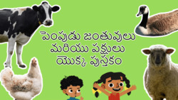 Introduction to Farm Animals - Telugu Instructional Video
