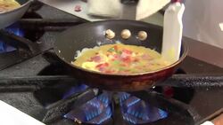 Conduction and Convection Instructional Video