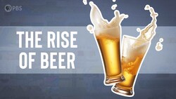 The Rise of Beer Instructional Video