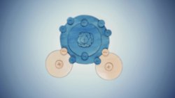 TED-Ed: The science of snowflakes - Maruša Bradač Instructional Video