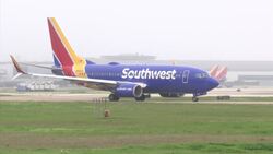 Analyst: Few US options to avoid Boeing 737 Max Instructional Video