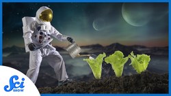 Intergalactic Gardeners | Compilation Instructional Video