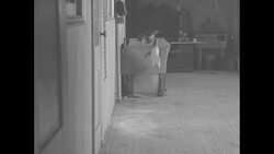 Mike and Ike, Galapagos penguins, thrill crowds at New York Aquarium News Clip