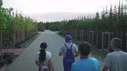 Gardeners are walking in the garden Stock Footage