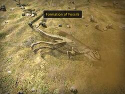 Evidences of Evolution Instructional Video