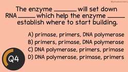 Before the Bell Biology: DNA Replication Instructional Video