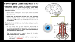 Cervicogenic Dizziness | What is it? Mechanism & Diagnosis Instructional Video