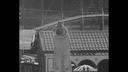 Human cannonball shot from cannon lands in net; 1930s News Clip