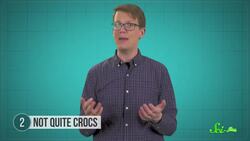 5 Strangely Familiar Ancient Animals Instructional Video