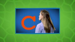 Have You Ever Wondered What the Deadliest Part of a Platypus Is? Instructional Video