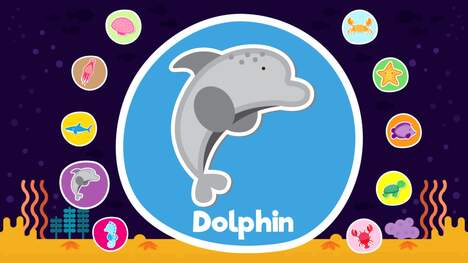 Sea & Water Animals