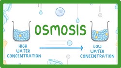 GCSE Biology - Osmosis #8 Instructional Video