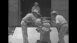 Feed supplied to cattle in drought-stricken Texas News Clip